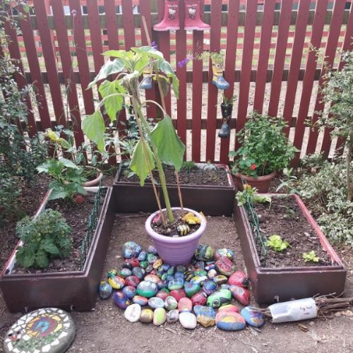 Larch class garden.jpg